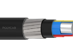 Polycab 300 Sqmm, 3 Core, Aluminium Class 2/Stranded Copper, XLPE, Armoued - GI Strip HT Cable - Black - I-300PX3CHT3.3EFLAT